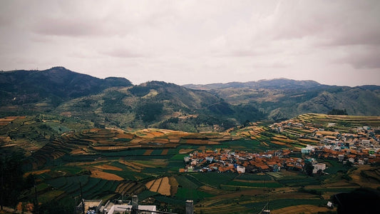 ESCAPE: Sometimes, Leaving Is Exactly What You Need