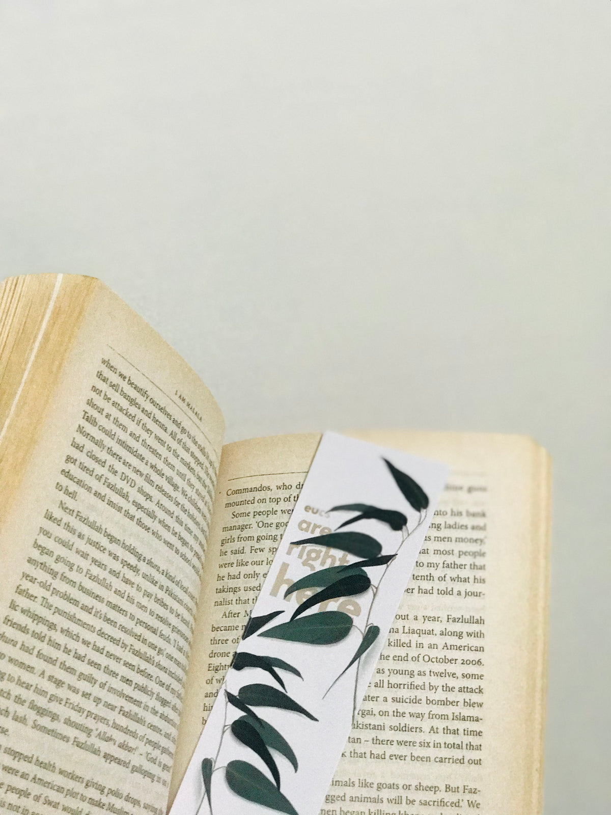 Bookmarks: Kodaikanal