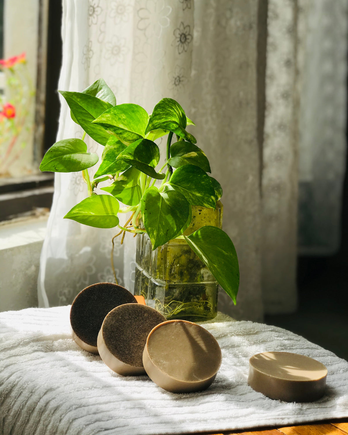 Café: Coffee Soap