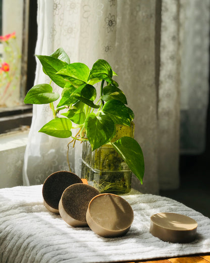 Café: Coffee Soap