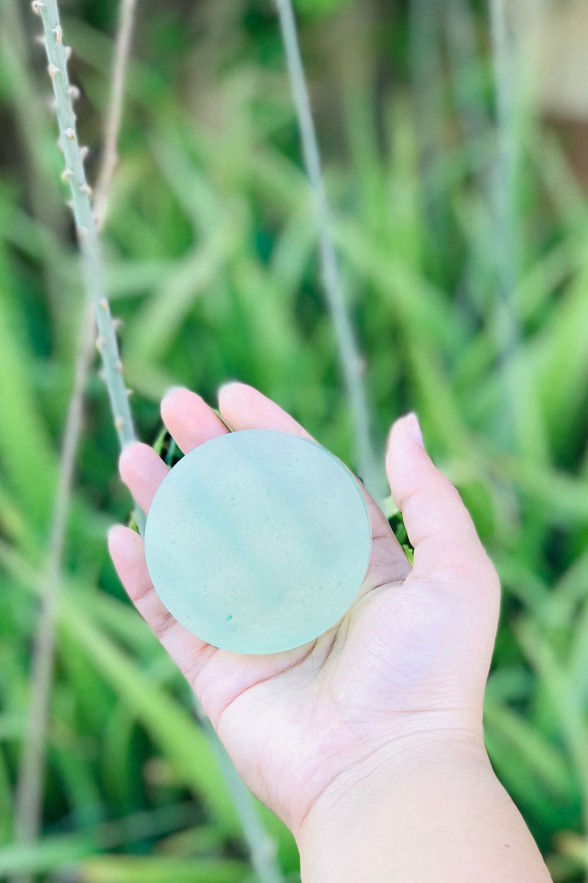 Aloès: Aloevera and Jasmine Soap