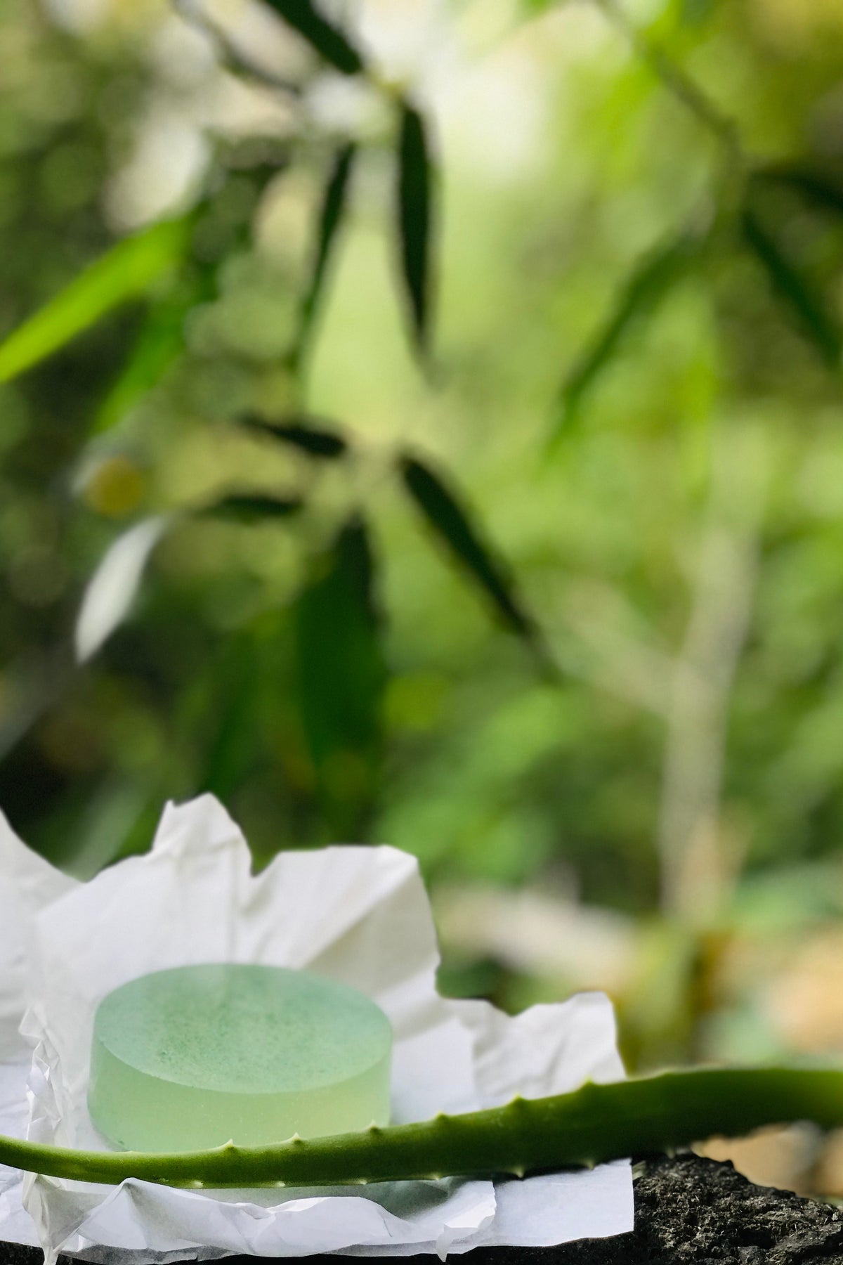 Aloès: Aloevera and Jasmine Soap